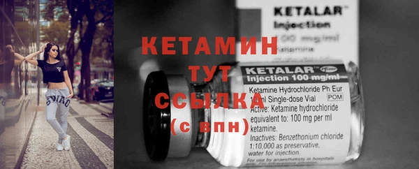 сатива Каменногорск