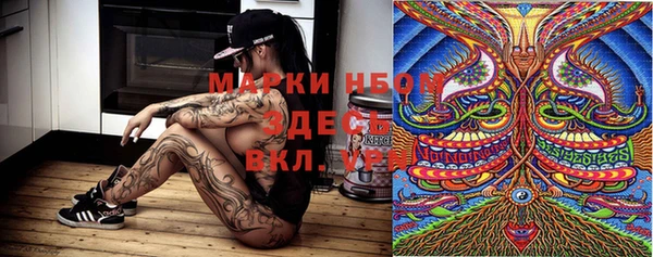 сатива Каменногорск