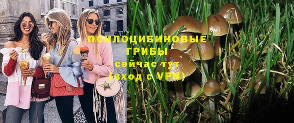 сатива Каменногорск