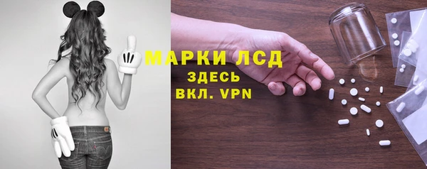 стаф Каменка