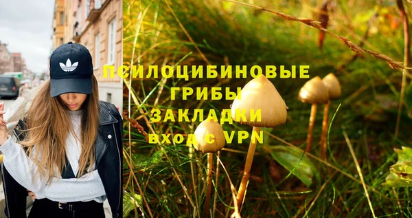 герыч Касимов