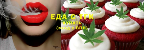 стаф Каменка