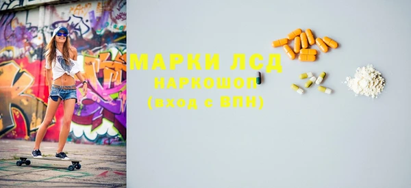 сатива Каменногорск