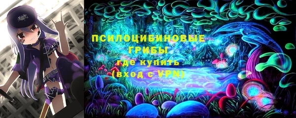 сатива Каменногорск