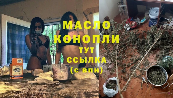 сатива Каменногорск