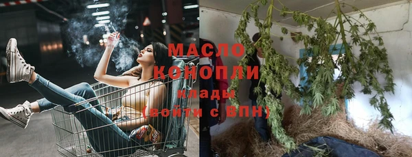стаф Каменка