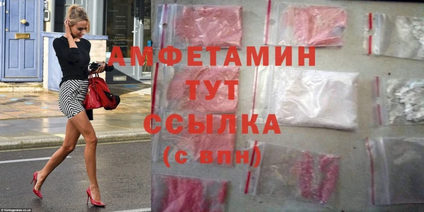 стаф Каменка