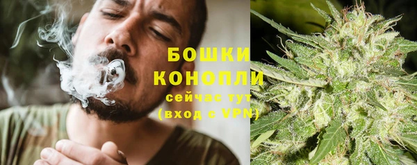 стаф Каменка
