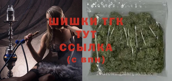 сатива Каменногорск