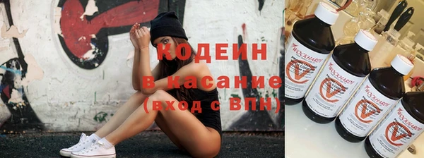 стаф Каменка