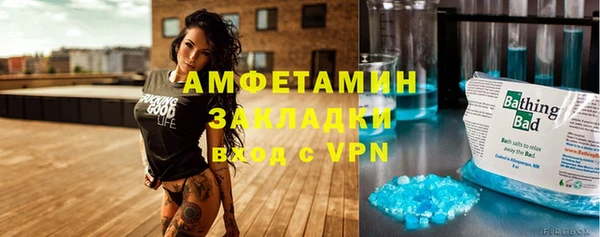 стаф Каменка