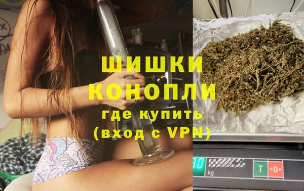 стаф Каменка
