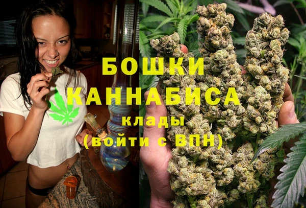 стаф Каменка