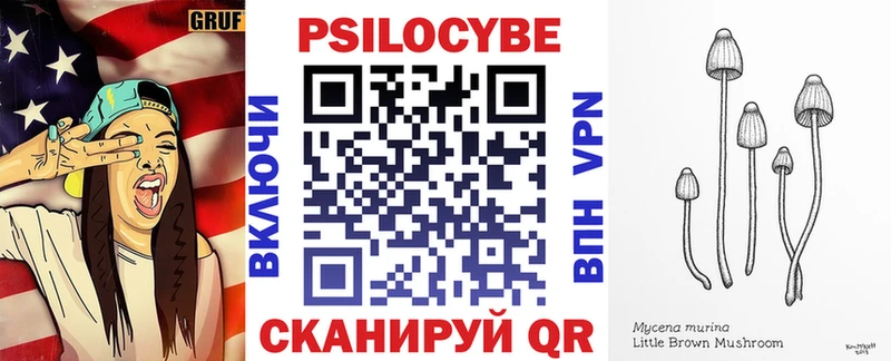 дарнет шоп  Мелеуз  Галлюциногенные грибы мицелий 